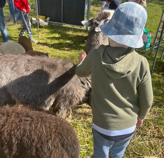 A boy at the Murrumbateman Field Days with farm animals